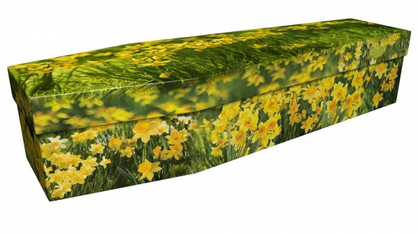 Cardboard Coffin with Daffodils Picture